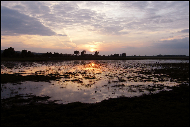 sundown in the water meadow