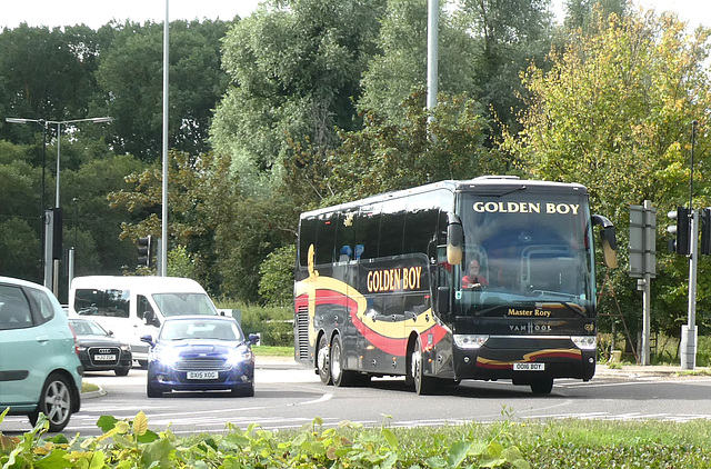 Golden Boy 430 (OO16 BOY) at Fiveways, Barton Mills - 19 Aug 2023 (P1160128)