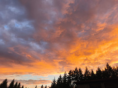 Ce soir/ This evening [EXPLORER]