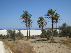 Lac salé, 2.