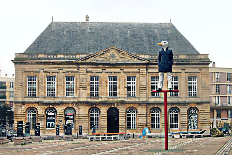Le muséum d'histoire naturelle du Havre  .