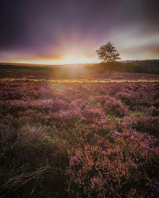 Lawrence Field, Peak District