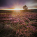 Lawrence Field, Peak District