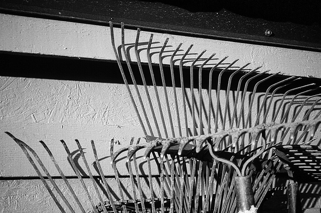 a rake's progress B&W