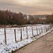 Snowy fence posts