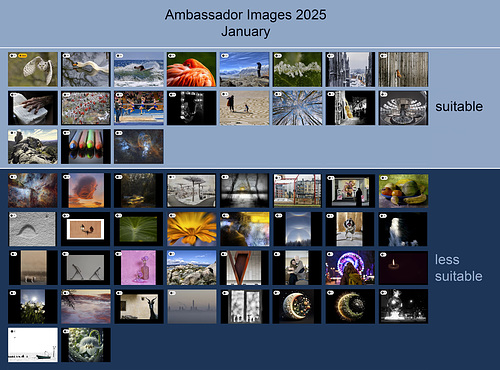 Ambassador Images 2025, January