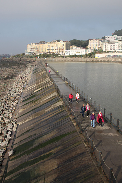 The Marine Lake