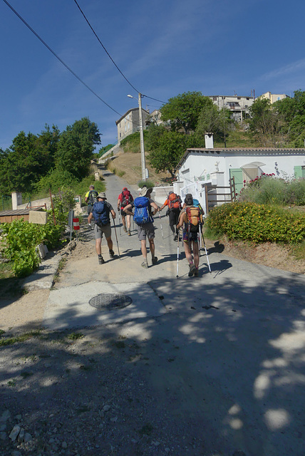 20170617 -24 Randos Touet sur Var (549) al