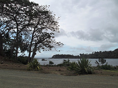 Parc national Alejandro de Humboldt