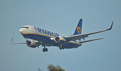 Ryanair FTN