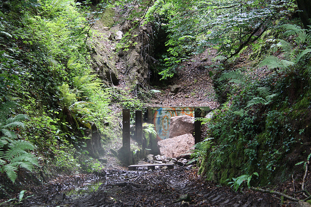 Little Garth Iron Mine