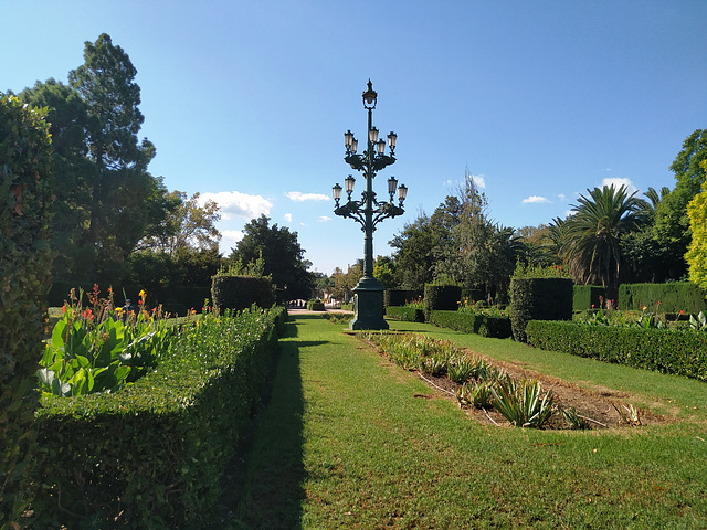 Valencia: jardines del Real, 1