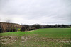 Feld an der Holthauser Heide (Wuppertal-Vohwinkel) / 22.02.2022