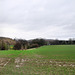 Feld an der Holthauser Heide (Wuppertal-Vohwinkel) / 22.02.2022