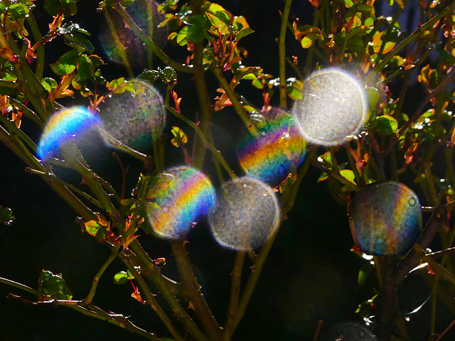 Sonne blendet auf Regentropfen an meinem Fenster