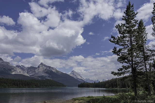 Maligne Lake ... P.i.P. (© Buelipix)