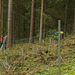 Happy Forest Fencing 1