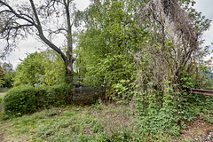 -gruen-06415-co-28-04-19 -gruen-06415-co-28-04-19