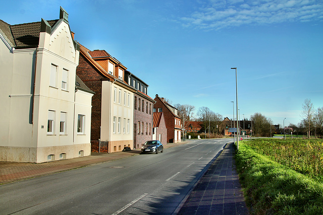 Vogelstraße (Hamm-Heessen) / 17.03.2020