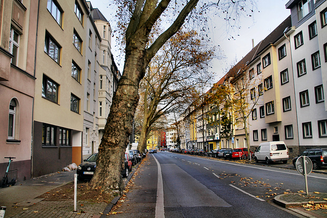 Wittekindstraße (Dortmund-Innenstadt-West) / 8.11.2020