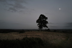 Penedos, Moonlight at blue hour