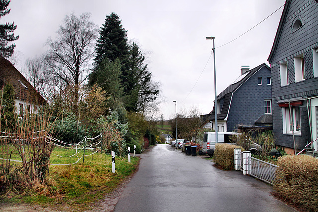 Holthauser Heide (Wuppertal-Vohwinkel) / 22.02.2022