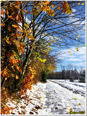 La saison hésite entre l'automne et l'hiver...