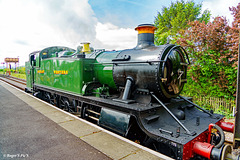 The train now standing,
