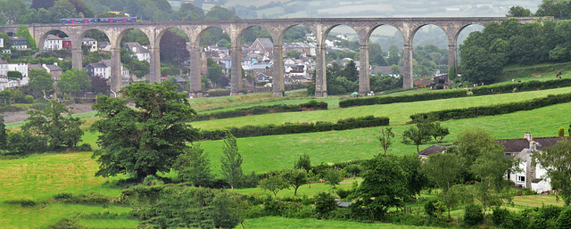 calstock viaduct, cornwall / devon