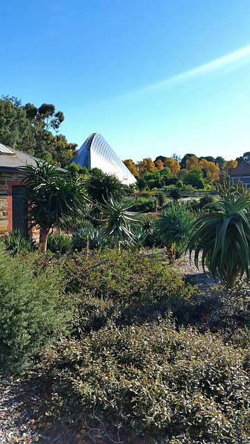 Botanical gardens and tropical house