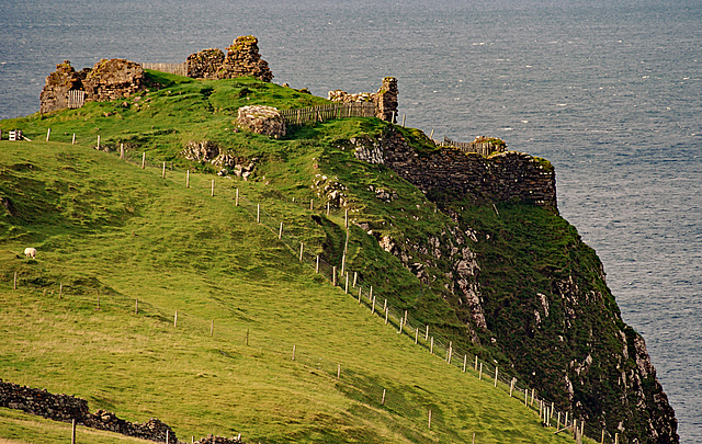 Walls, Fences and the Great Wide Open - HFF!