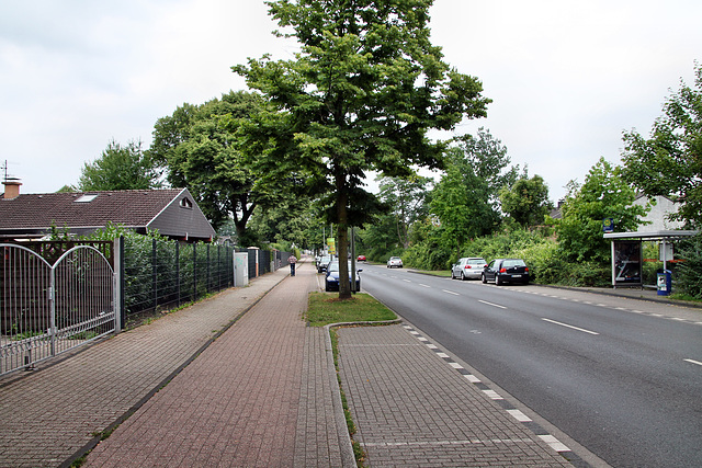 Dr.-Hans-Böckler-Straße (Duisburg-Walsum) / 16.07.2017