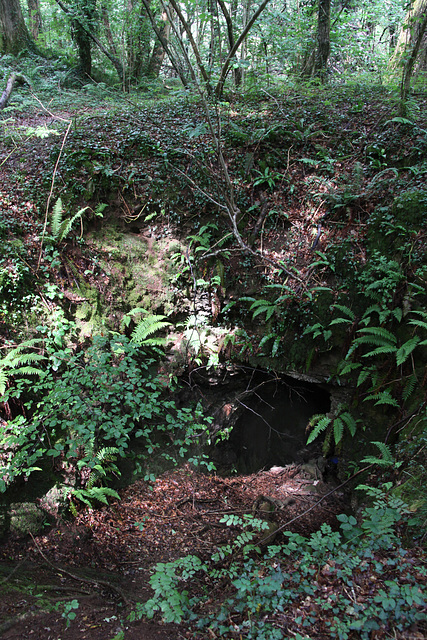 Little Garth Iron Mine