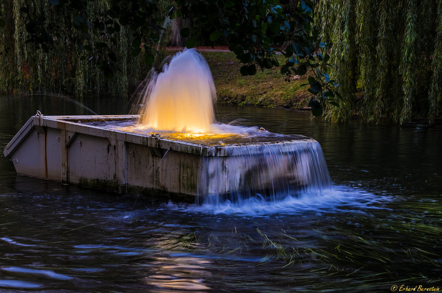 Benjamin Bergmann: Acqua Alta (PiP)