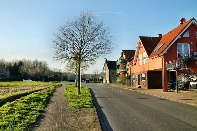 Vogelstraße (Hamm-Heessen) / 17.03.2020