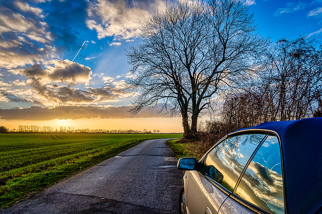 Langwedeler Marsch im Abendlicht