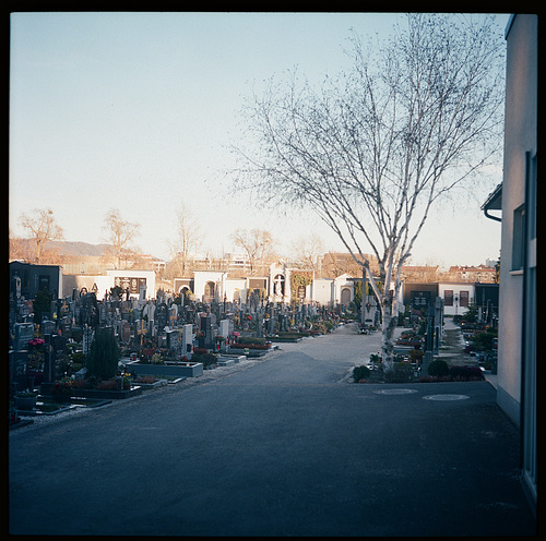 Cemetery