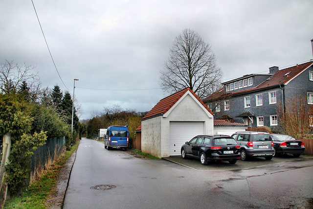 Holthauser Heide (Wuppertal-Vohwinkel) / 22.02.2022