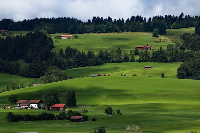 Allgäuer Grün