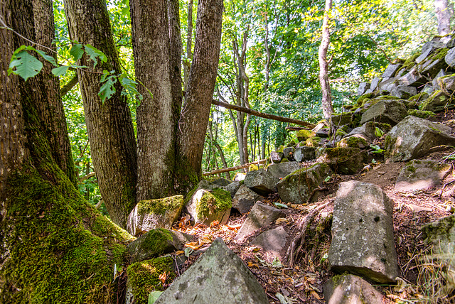 Basalt im Wald - 20150812