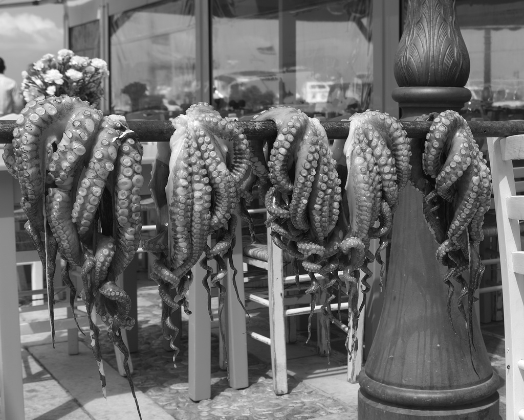 Drying octopi at Naxos Town