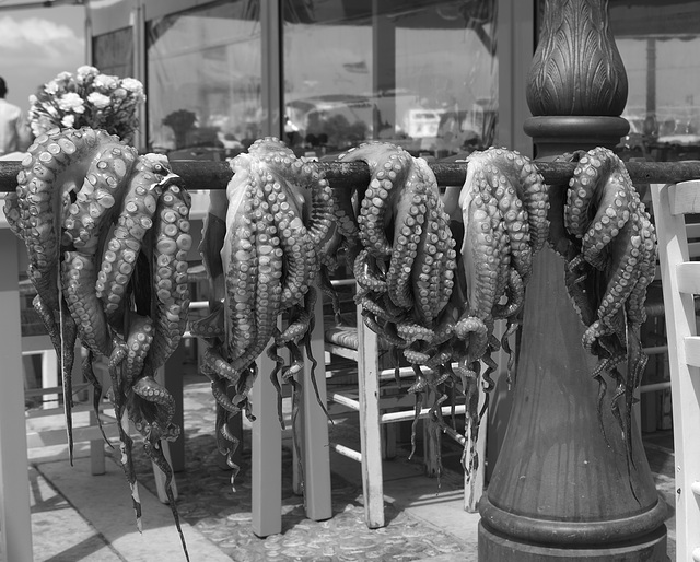 Drying octopi at Naxos Town