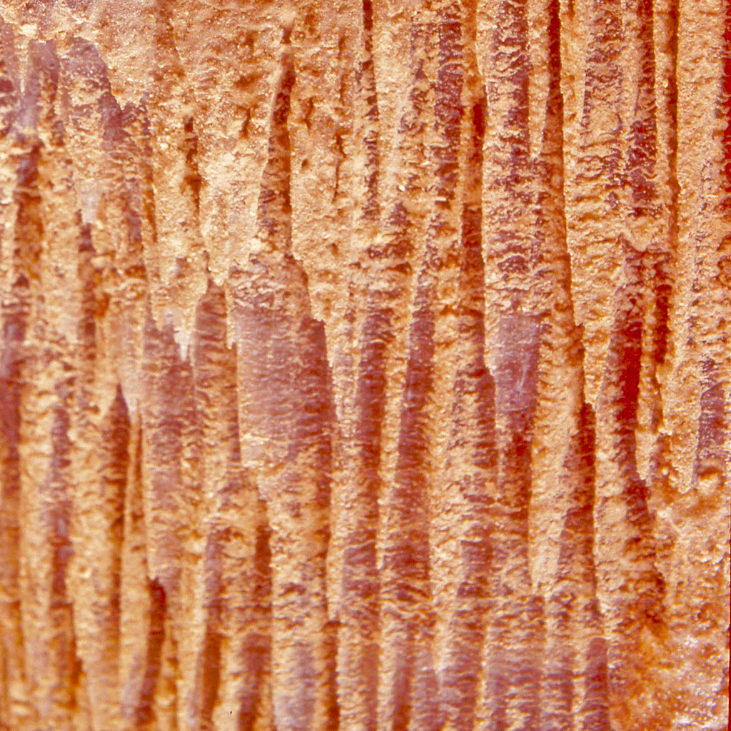 Rock Detail in Ein Gedi- Israel - PIP