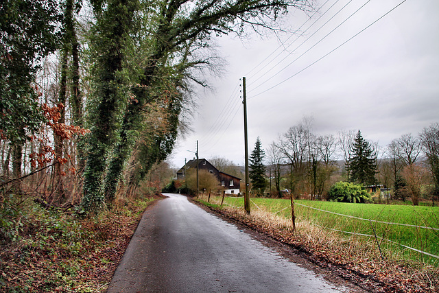 Bellenbusch (Wuppertal-Vohwinkel) / 22.02.2022