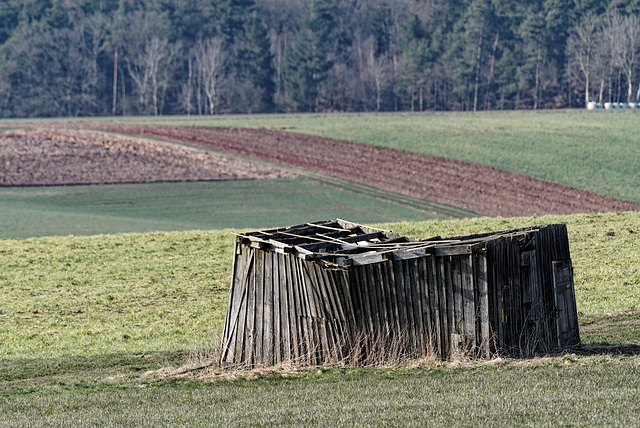 22.03.12 Burgwald 2