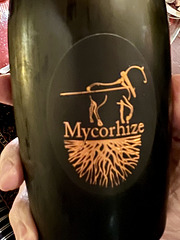 Mycorhize champagne