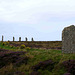 Ring of Brodgar