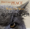 UKR[2] - surrender is not peace
