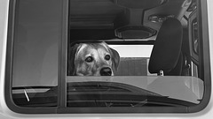 No Me Mires Así! No Me Mires Así!