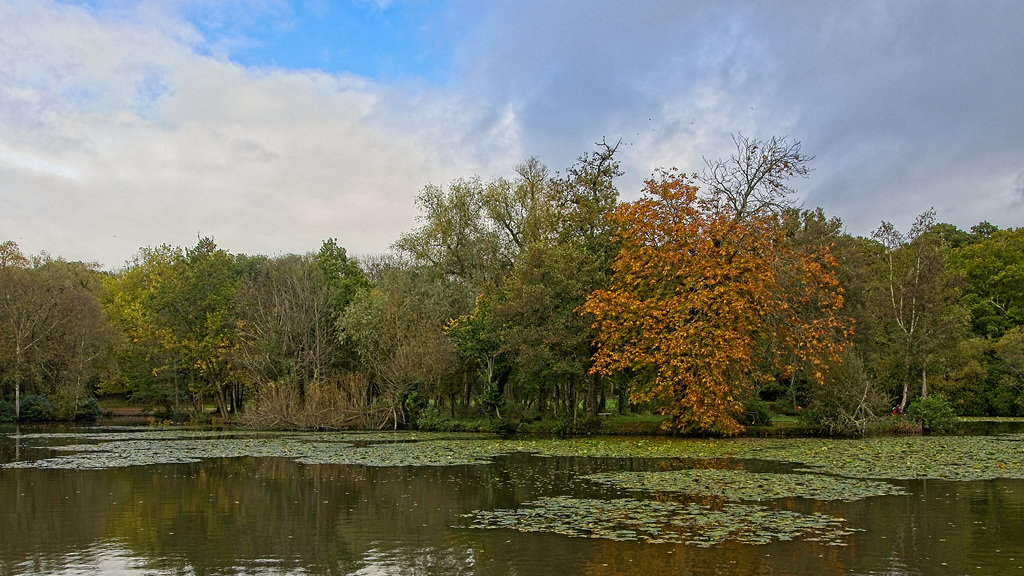 A View Across the Lake